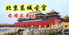www.色b逼中国北京-东城古宫旅游风景区